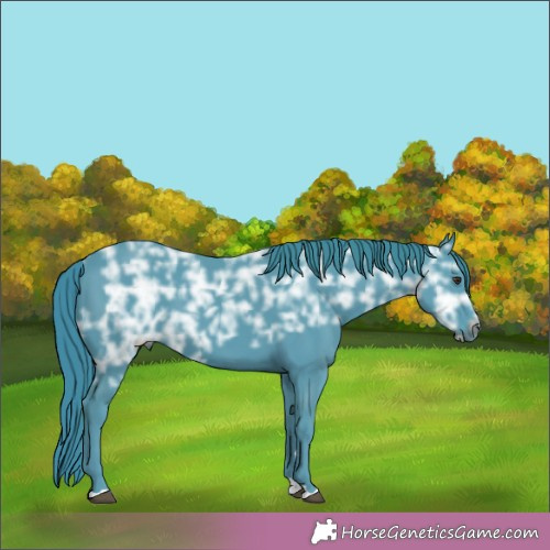 Horse Color:Watercolor Liver Chestnut Ice