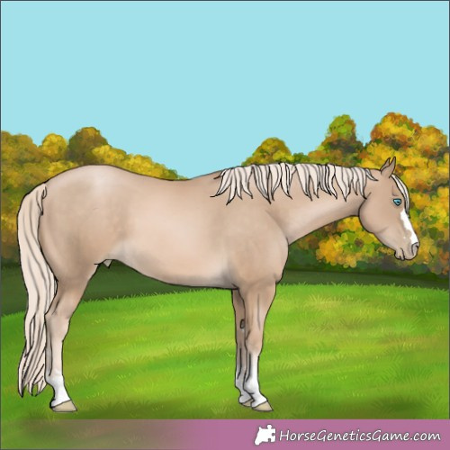 Horse Color:Chocolate Palomino Pearl 