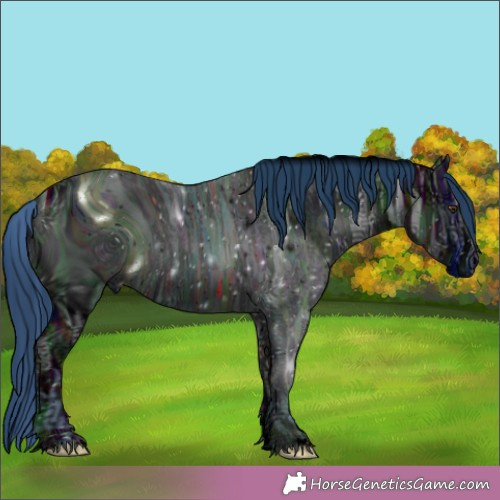 Horse Color:ERROR: UNKNOWN ANOMALY
