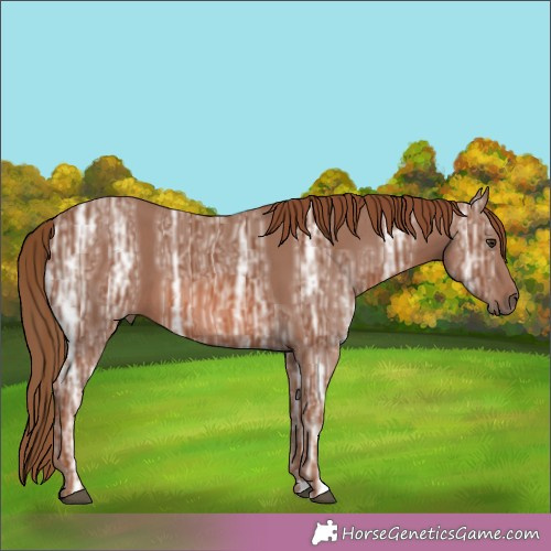 Horse Color:Chestnut Ice 
