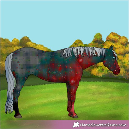 Horse Color:ERROR: UNKNOWN ANOMALY