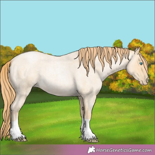 Horse Color:Buckskin Roan Pearl 