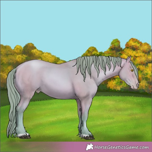 Horse Color:Watercolor Bay Pearl 