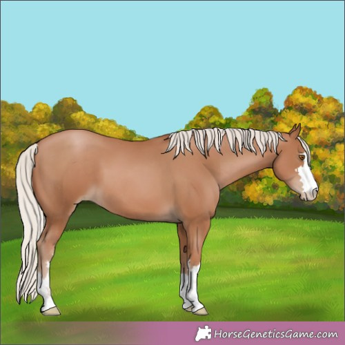 Horse Color:Silver Black Pearl 