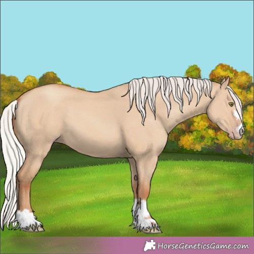 Horse Color:Silver Classic Champagne Dun 