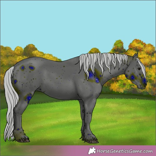 Horse Color:ERROR: UNKNOWN ANOMALY