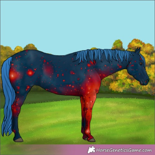 Horse Color:ERROR: UNKNOWN ANOMALY