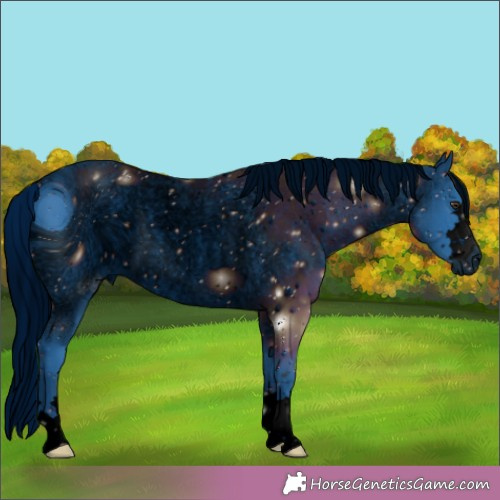 Horse Color:ERROR: UNKNOWN ANOMALY