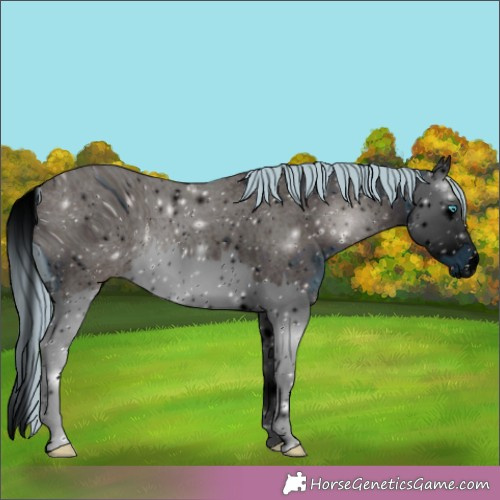 Horse Color:ERROR: UNKNOWN ANOMALY