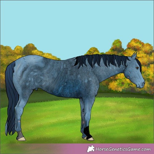 Horse Color:ERROR: UNKNOWN ANOMALY