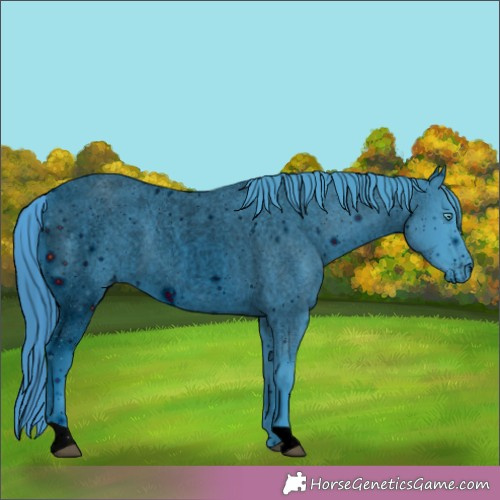 Horse Color: ERROR: UNKNOWN ANOMALY