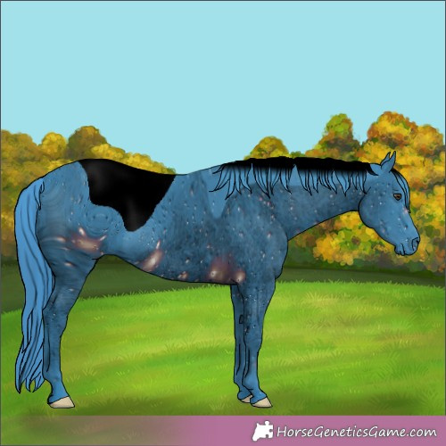 Horse Color:ERROR: UNKNOWN ANOMALY
