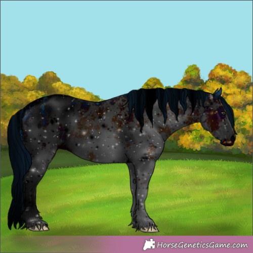 Horse Color:ERROR: UNKNOWN ANOMALY