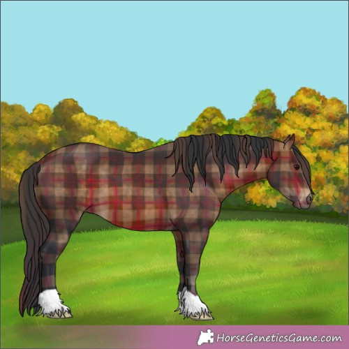 Horse Color:Plaid  Brown 