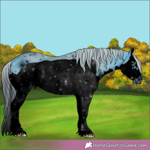 Horse Color:ERROR: UNKNOWN ANOMALY