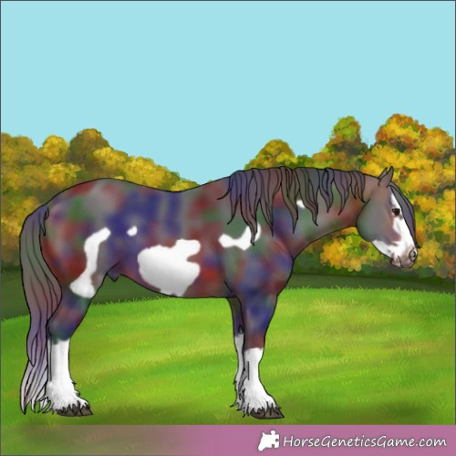 Horse Color:Nacre Brown Splash Frame 