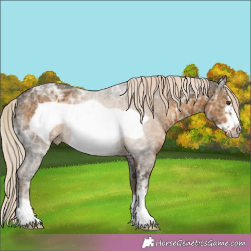 Horse Color:Chocolate Palomino Ice Mushroom Frame 
