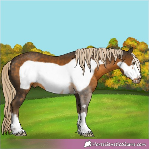 Horse Color:Chocolate Palomino Mushroom Frame 