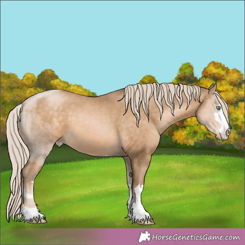 Horse Color:Chocolate Palomino Pearl Mushroom 