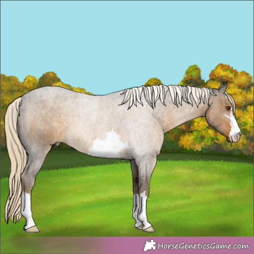Horse Color:Chocolate Palomino Mushroom 