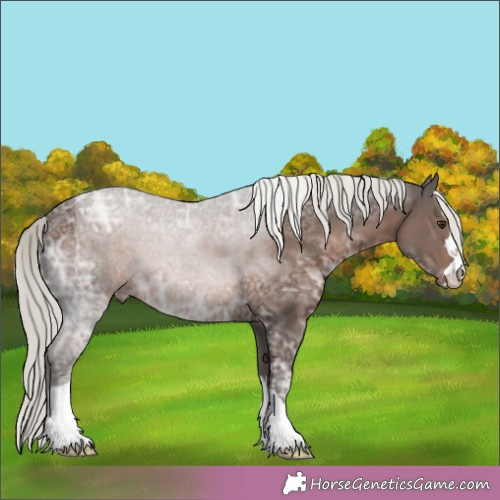 Horse Color:Liver Chestnut Ice Mushroom 