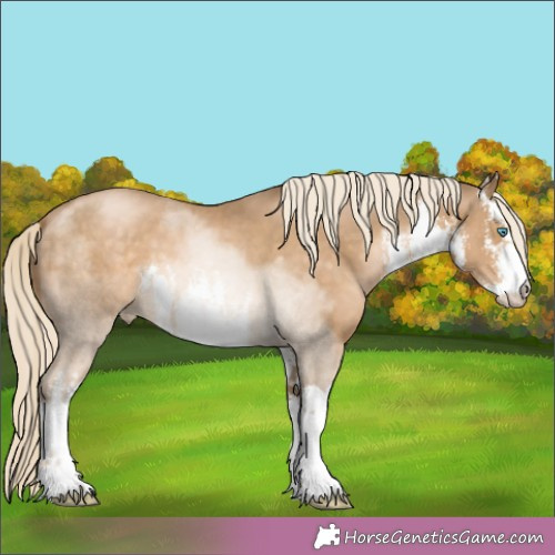 Horse Color:White Spotted Chocolate Palomino Pearl Mushroom 