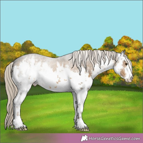 Horse Color:White Spotted Chocolate Palomino Mushroom 