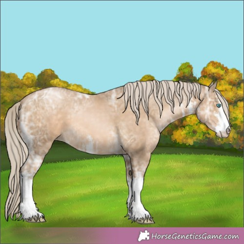 Horse Color:White Spotted Chocolate Palomino Ice Pearl Mushroom 
