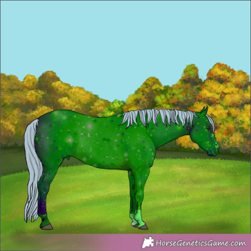 Horse Color:ERROR: UNKNOWN ANOMALY