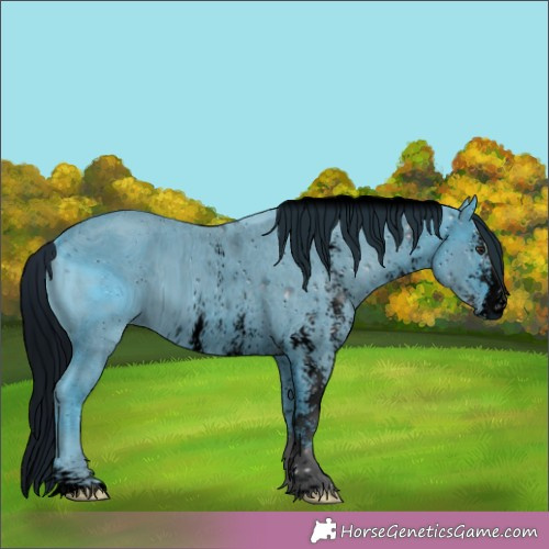 Horse Color: ERROR: UNKNOWN ANOMALY