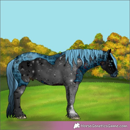 Horse Color:ERROR: UNKNOWN ANOMALY