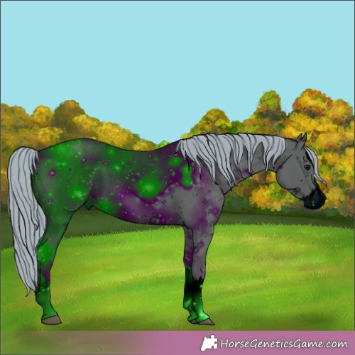 Horse Color:ERROR: UNKNOWN ANOMALY