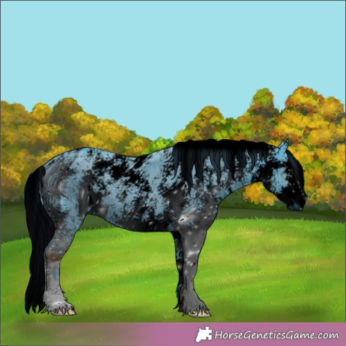 Horse Color: ERROR: UNKNOWN ANOMALY