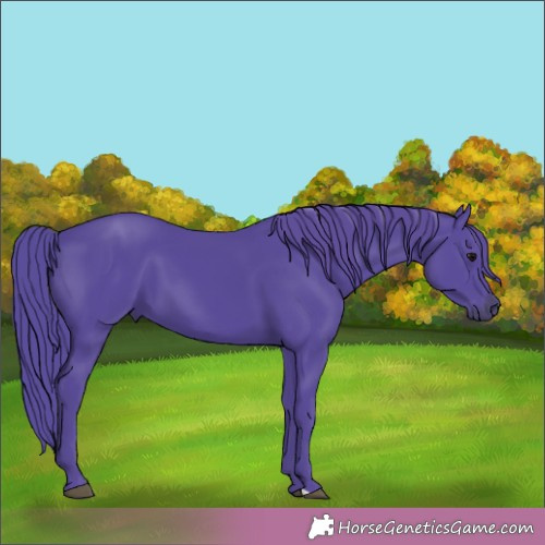 Horse Color:Watercolor Black 
