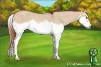 Horse Color:Red Dun Roan Splash Frame Rabicano 