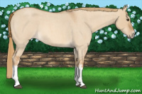 Horse Color:Red Dun Roan Splash Frame Rabicano 