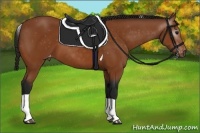 Horse Color:Gray Bay Tobiano Blanket