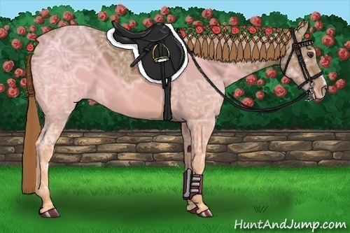 Horse Color:Chestnut Ice Frame 