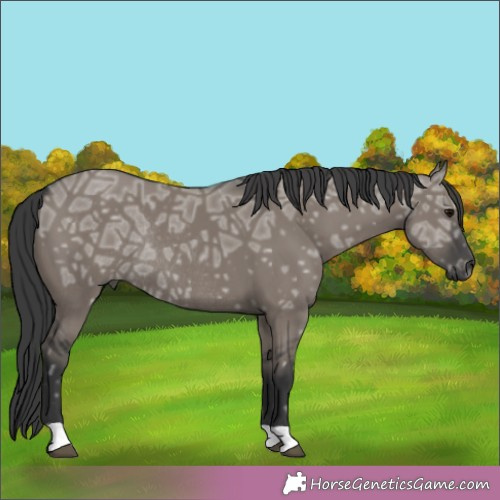 Horse Color:Grullo Ice Rabicano 