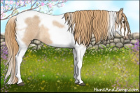 Horse Color:Red Dun Roan Splash Tobiano Frame Rabicano