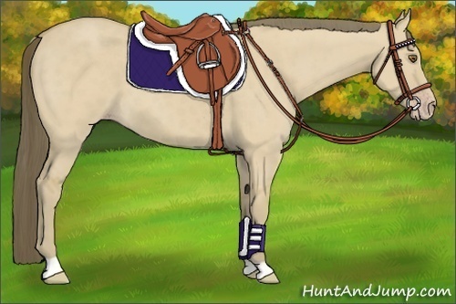 Horse Color:Classic Cream Champagne Dun