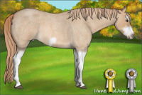 Horse Color:Red Dun Roan Splash Frame Rabicano 