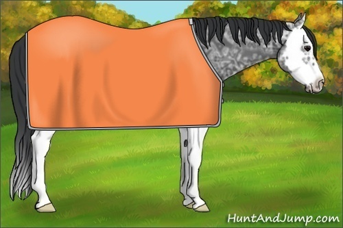 Horse Color:Black Ice Splash Frame