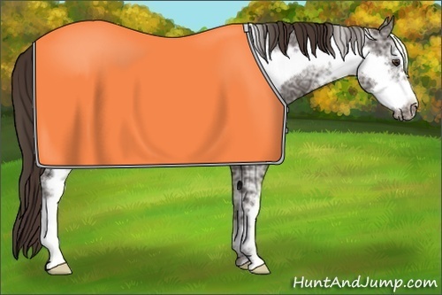 Horse Color:White Spotted Liver Chestnut Ice Frame