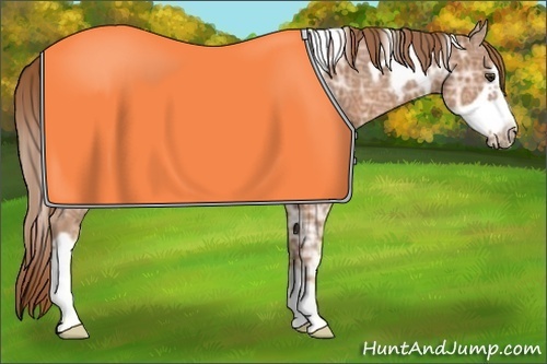 Horse Color:White Spotted Chestnut Ice Frame