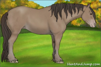 Horse Color:Classic Champagne 