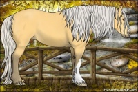 Horse Color:Silver Buckskin 