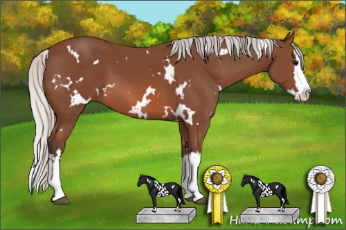 Horse Color: White Spotted Silver Bay Splash 