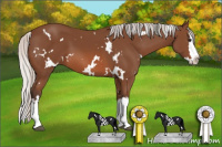 Horse Color:White Spotted Silver Bay Splash 