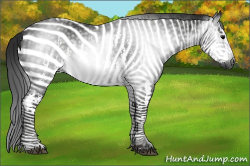 Horse Color:Gray Black Splash Frame  Brindle